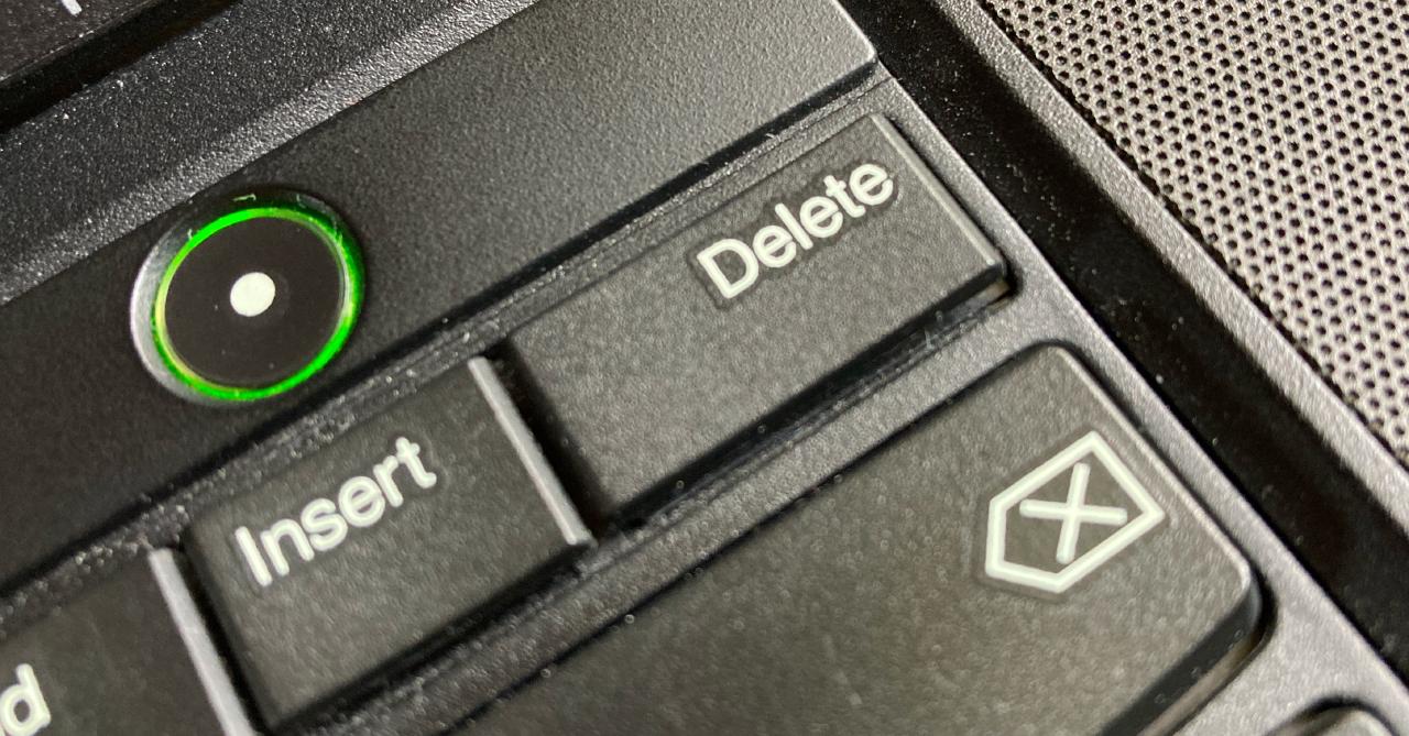 Snapshots: probably invented by a developer who owns a cat.