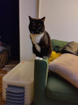 Click on the image to see the full version.