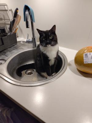 Click on the image to see the full version.