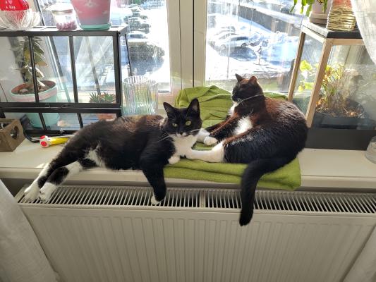 Click on the image to see the full version.